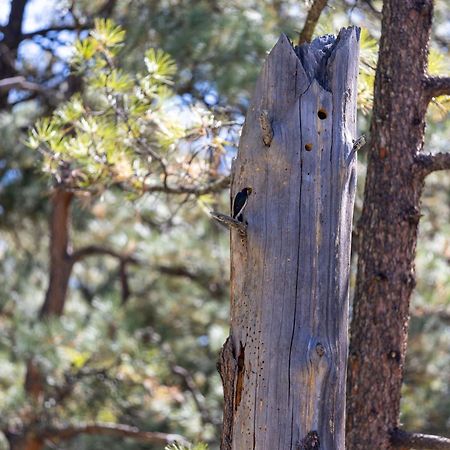 Ruidoso Lodge Cabin # 9 Eksteriør billede